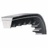 BX43 Cogged V Belt (Dunlop Premium)